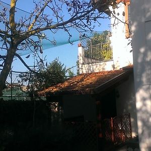 Apartamento Superior